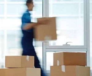 Additional Services We Provide Our Clients