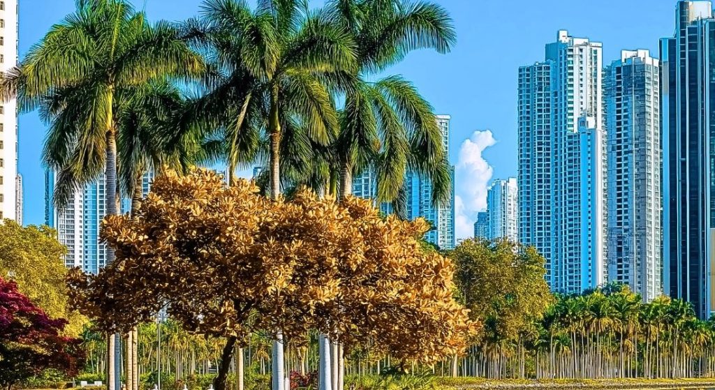 panama permanent residency program