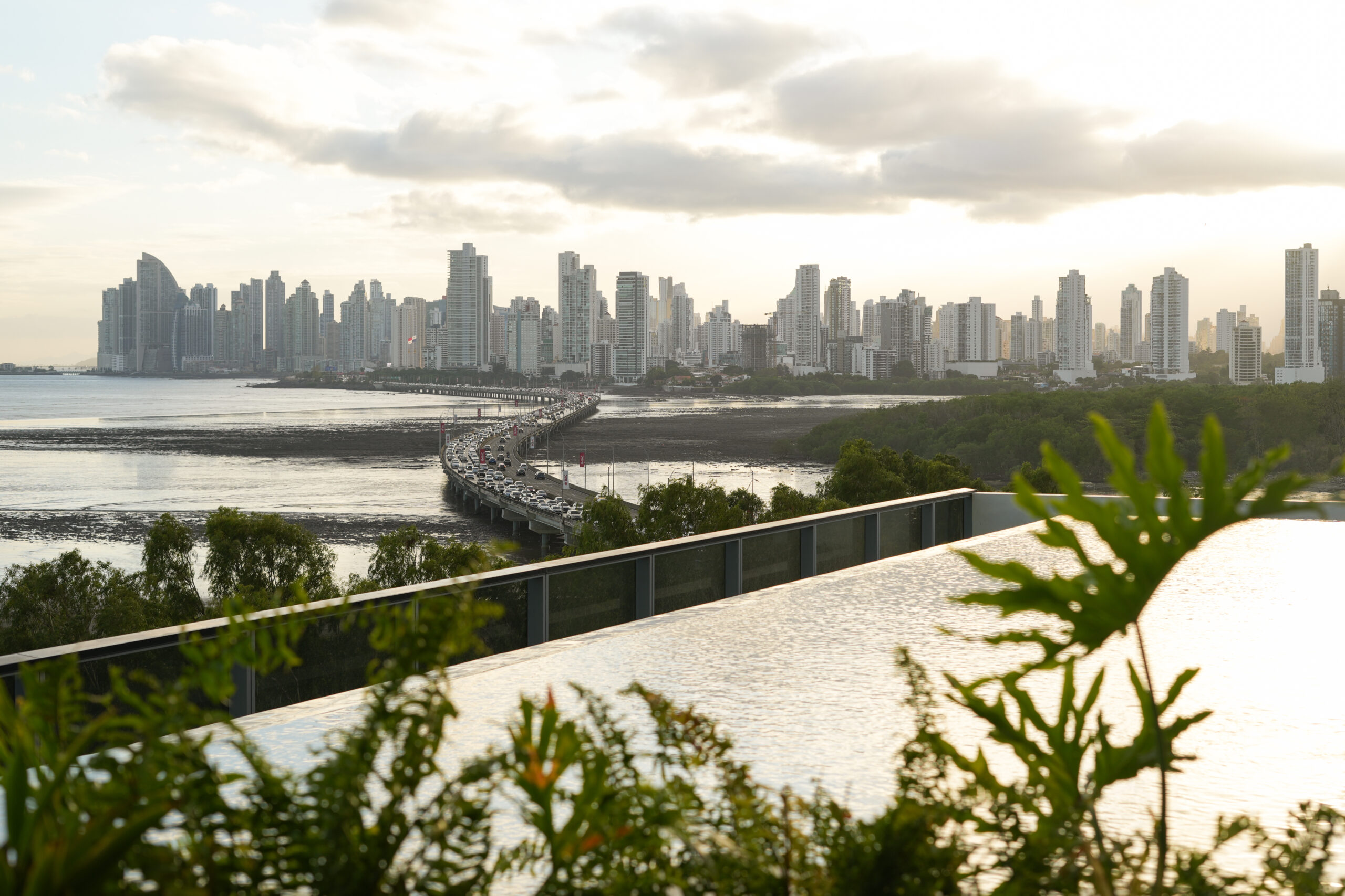 Costa del Este Views