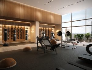 Gym Luxor 500